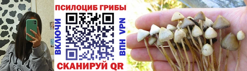 Галлюциногенные грибы прущие грибы Октябрьск